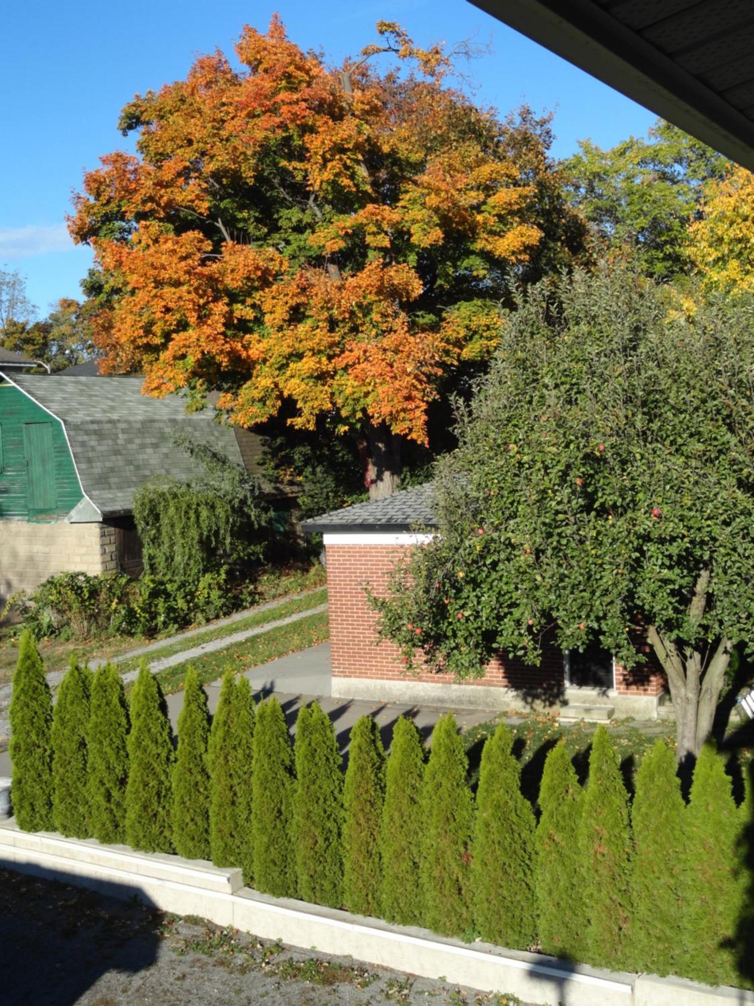 Rainbow Bed & Breakfast Niagara Falls Exterior photo